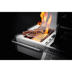 GRILLDEN™ prestige pro™ 500 rsib napoleon