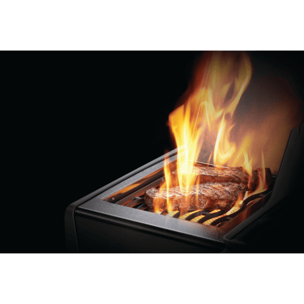GRILLDEN™ rogue® xt 425 sib napoleon