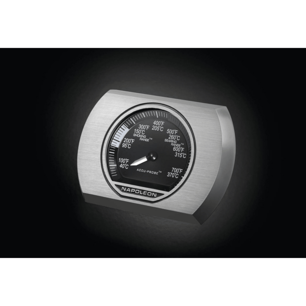 GRILLDEN™ rogue® xt 425 sib napoleon