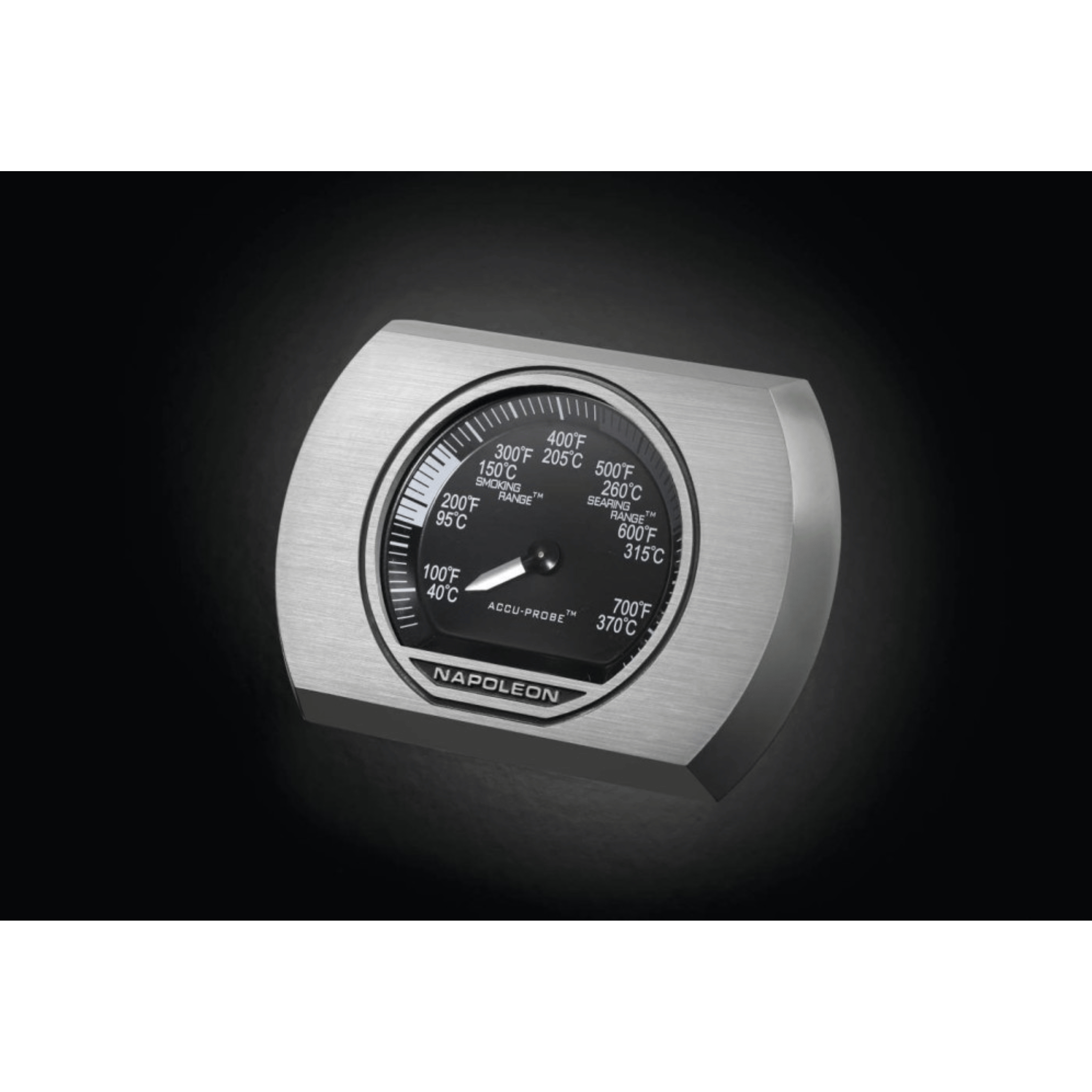 GRILLDEN™ rogue® xt 425 sib napoleon