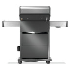 GRILLDEN™ napoleon rogue® pro s 425 rsib freestanding gas grill w infrared side and rear burner
